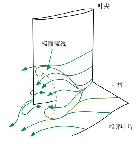 角流|压气机角区分离流动机理及控制方法研究